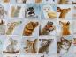 Preview: Patchworkstoff Woodland Friends mit mini Tieren Nahansicht
